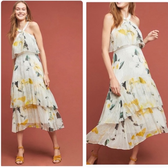 Anthropologie Garden Party Dress 0P